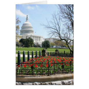 Ressort US Capitol