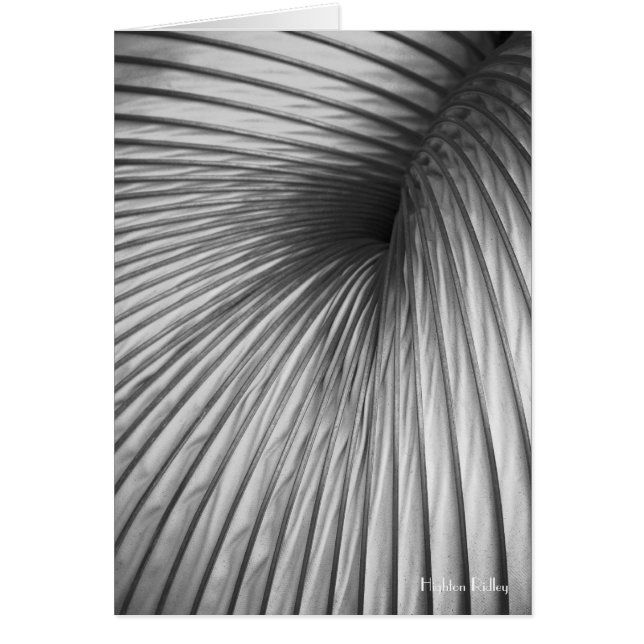 Résumé Extraction Noeud blanc / carte (Devant)