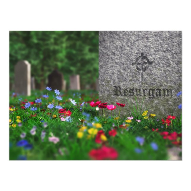 Resurgir l'impression photo (Devant)