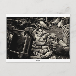 RETOUR À LA carte postale BASIC