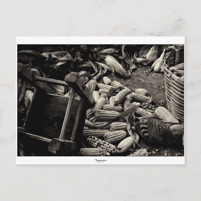 RETOUR À LA carte postale BASIC (Devant)