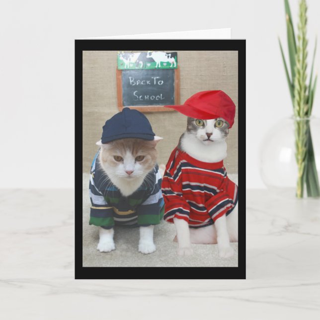 Retour à la carte scolaire pour enseignant (Devant)