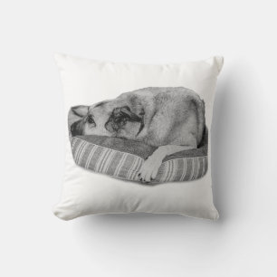 Retraite d'hiver, Coussin de chien serein