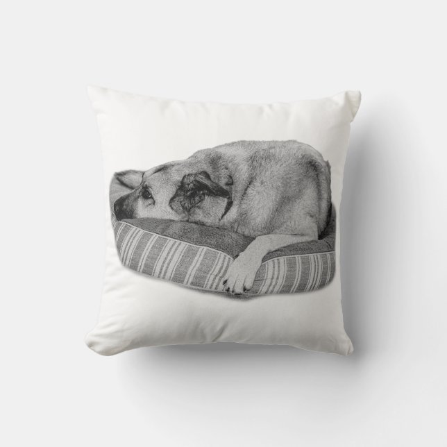 Retraite d'hiver, Coussin de chien serein (Recto)