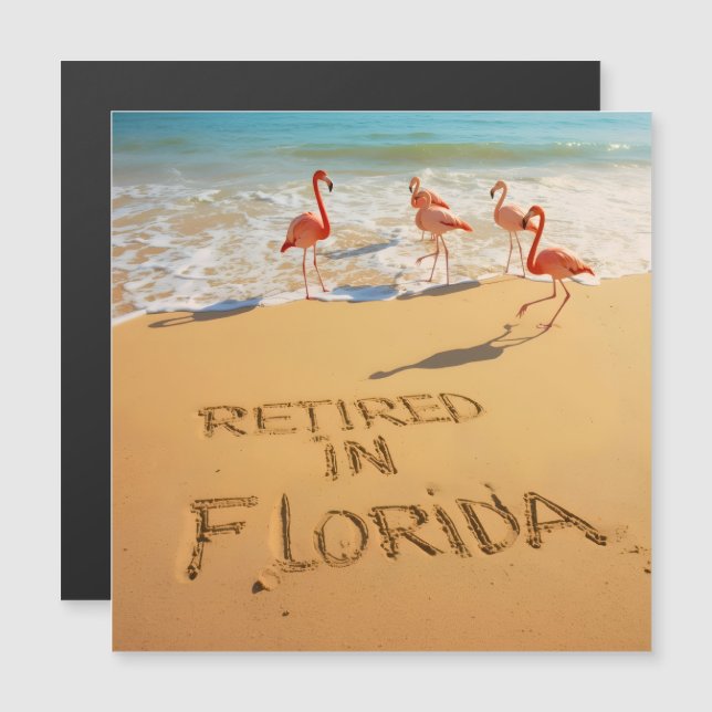 Retraités en Floride Flamants sur une plage tropic (Devant / Derrière)