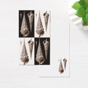 Rétro carte de profil de coquillages