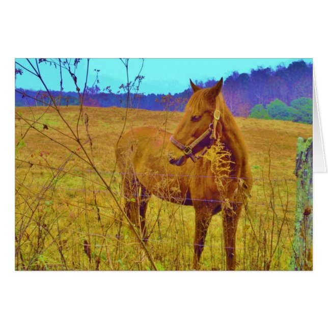 Retro Colored Horse (Devant horizontal)
