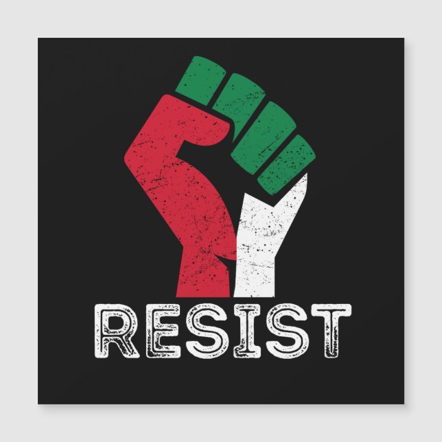Retro Vintage Resist Palestine drapeau de poing Li (Devant)