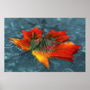 Retroréflexion Impression