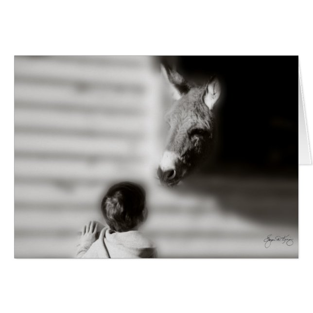 Réunion (Devant horizontal)