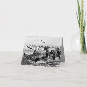 Réunir des oiseaux pleins d'espoir sur une carte e
