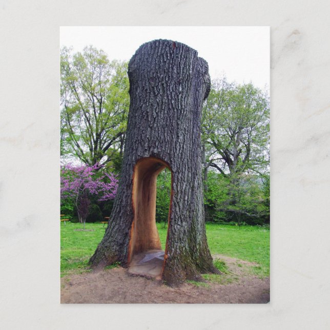 Réutiliser la carte postale (Devant)