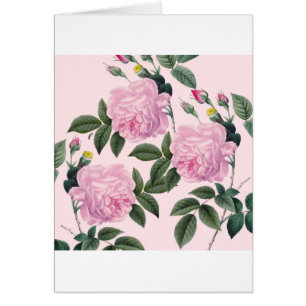 Rêve de cru de rose de roses