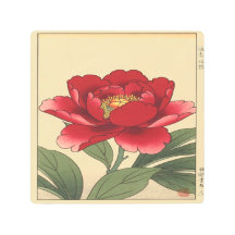 Rêve de Pivoine Cramoisie