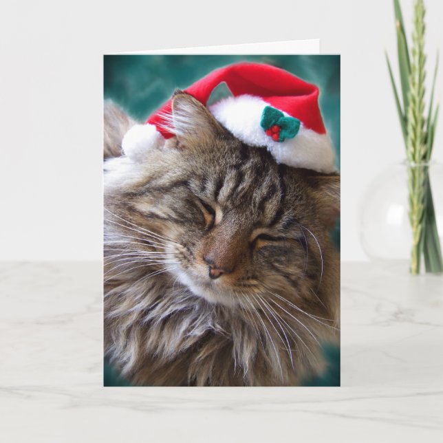 Réveillez-moi Carte Père Noël Cat (Devant)
