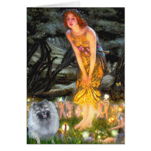 Réveillon de mi-été - Keeshond (F)