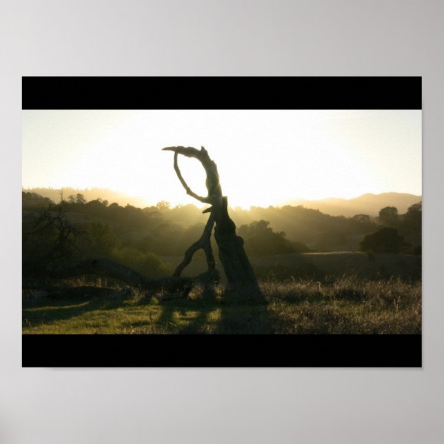 Révélation mystique - Poster (Devant)