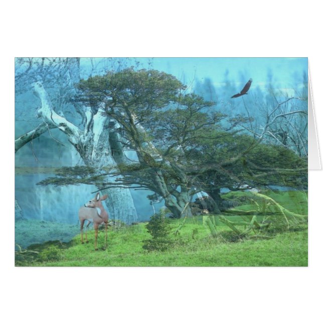Rêves (Devant horizontal)