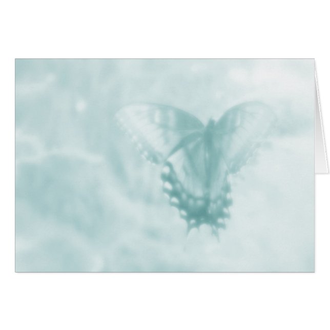 Rêves de papillon (Devant horizontal)