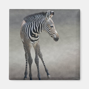 Rêves en noir et blanc Magnet