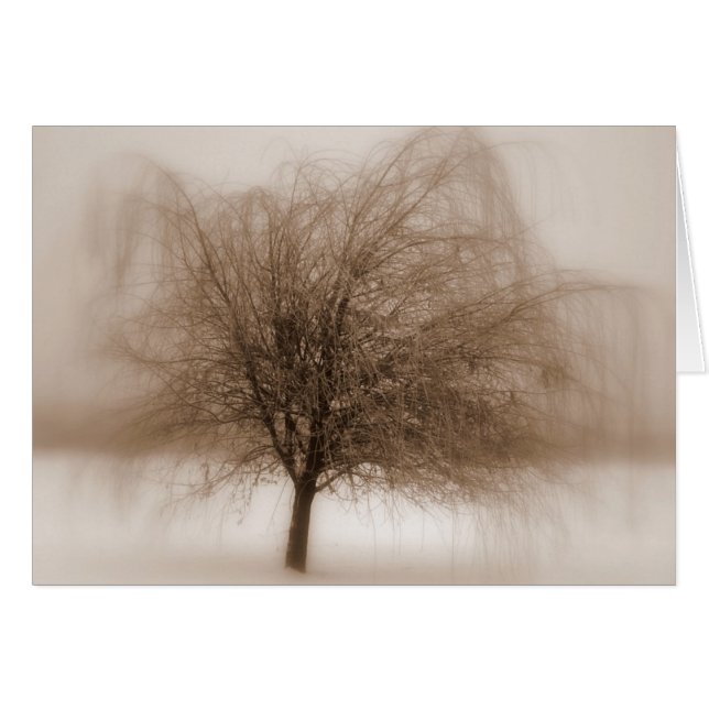 Rêves mystiques (Devant horizontal)