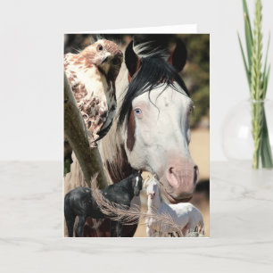 Rêves sauvages et plumes "Mustang Meg" CARTE SAUVA