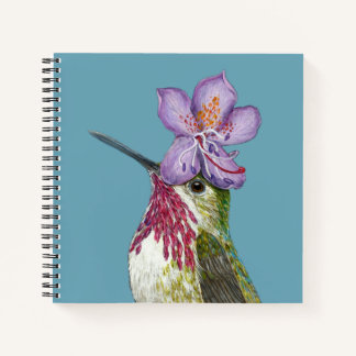 Rex, carnet de colibris calliope