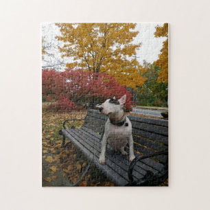 Rex en automne puzzle puzzle