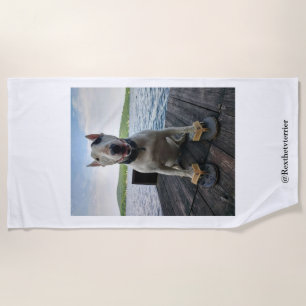 Rex la serviette de plage d'été de TV Terrier