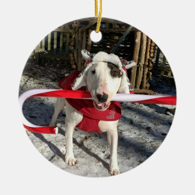 Rex La TV Terrier Ornement de Noël Sucre de canne (Devant)