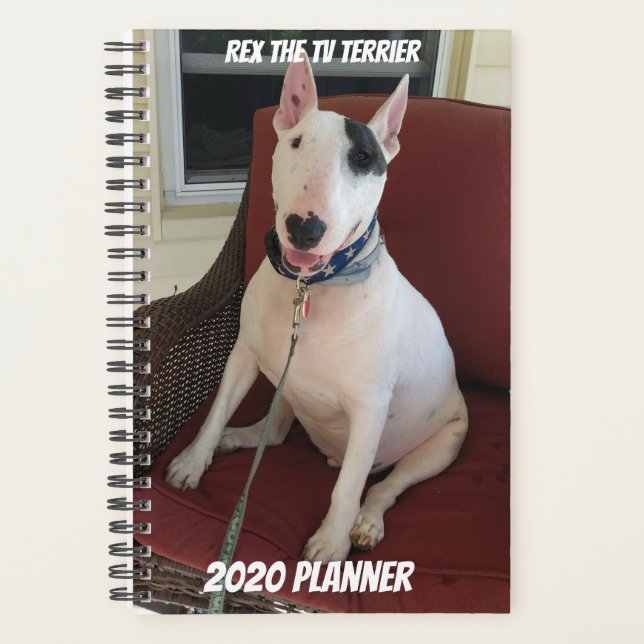 Rex Le planificateur TV Terrier 2020 (Devant)