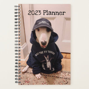 Rex Le planificateur TV Terrier 2023