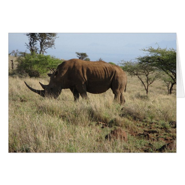 Rhino (Devant horizontal)