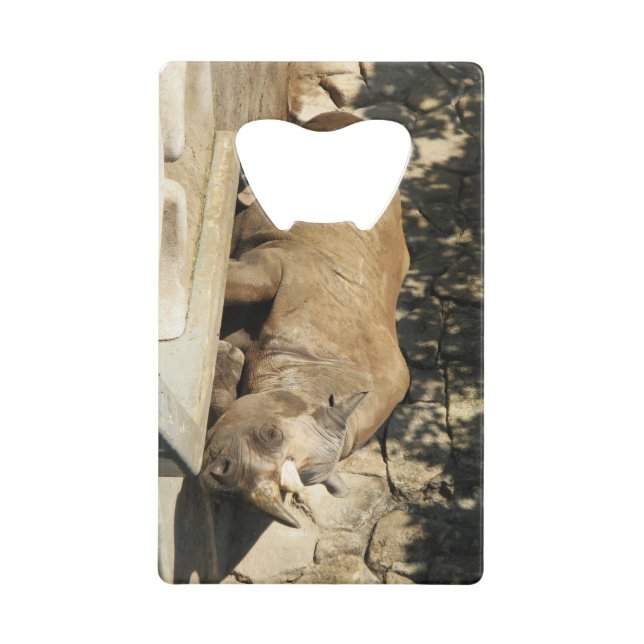 Rhino couché (Devant)