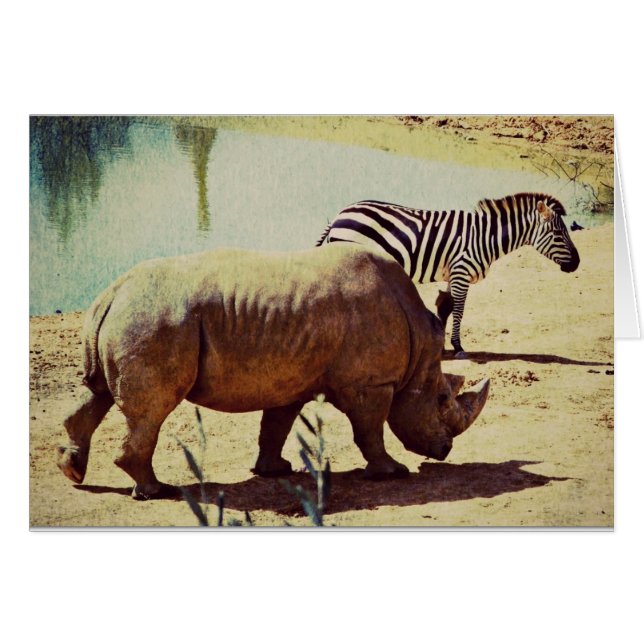 Rhino et Zebra (Devant horizontal)