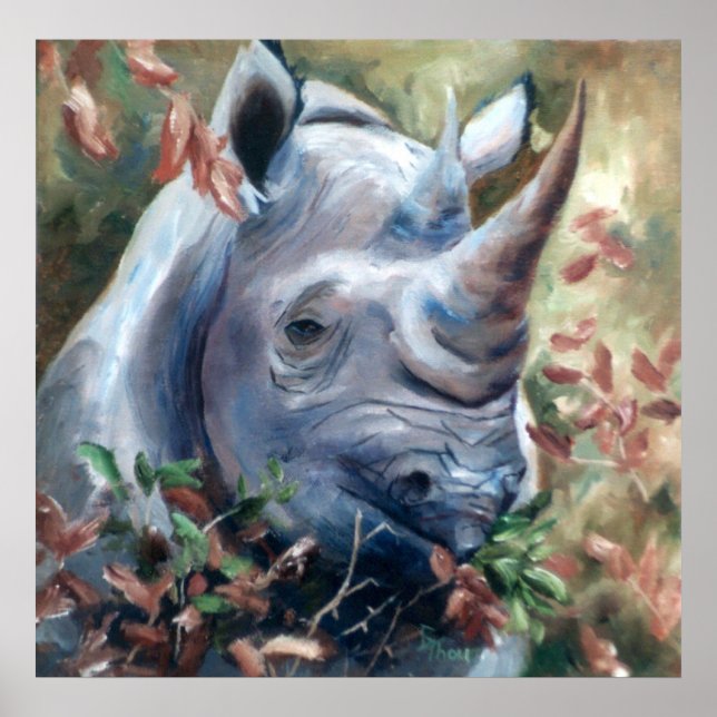 Rhino Poster (Devant)