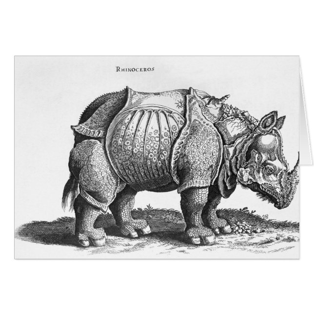 Rhinoceros, de 'Historia Animalium' (Devant horizontal)