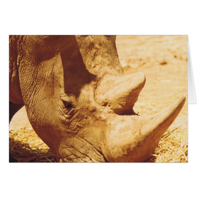 Rhinoceros Love (Devant horizontal)