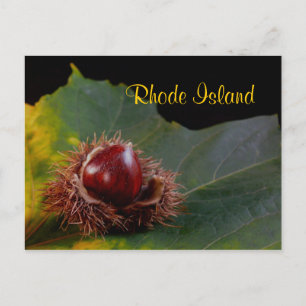 Rhode Island, Carte postale de feuille d'automne a