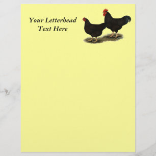 Rhode Island Red Bantam