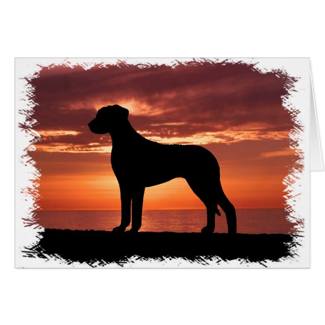 Rhodesian Ridgeback (Devant horizontal)