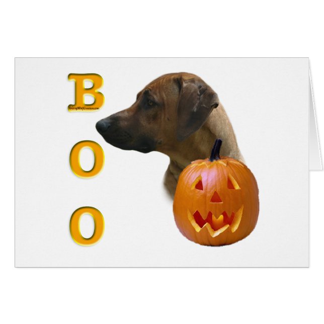 Rhodesian Ridgeback Boo (Devant horizontal)