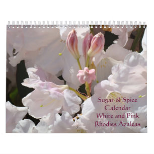 Rhodies Azaleas Calendrier Sucre et épices Rose Bl
