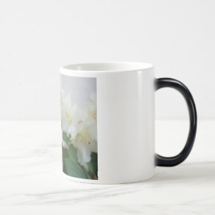 RHODIES FLEURS D'AZALÉE Cartes Cadeaux Mugs