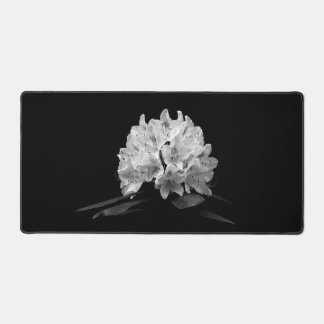 Rhododendron En Noir Et Blanc Photo