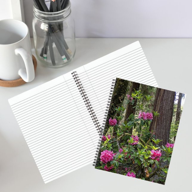 Rhododendrons roses dans un cahier floral de forêt (In Situ)
