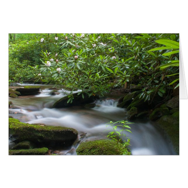 Rhododendrons sur la carte Creek (Devant horizontal)