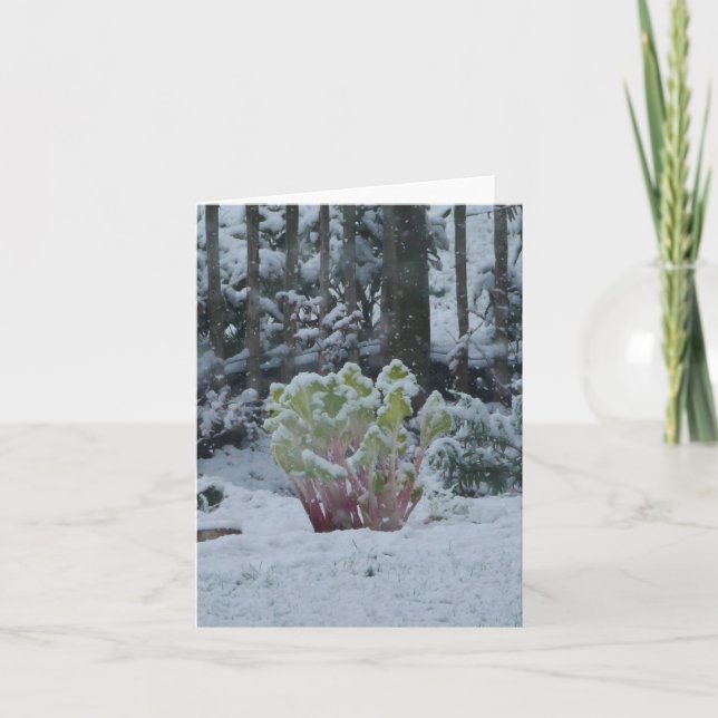 Rhubarbe dans carte de neige (Devant)