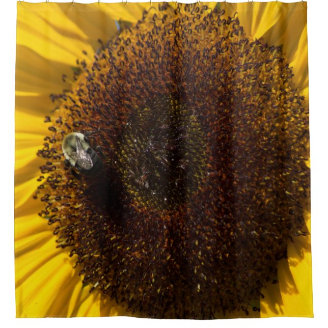 RIDEAU DE DOUCHE À SOUFFLE (Devant)