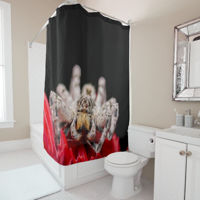 Rideau de douche araignée Bitsy (En situation)